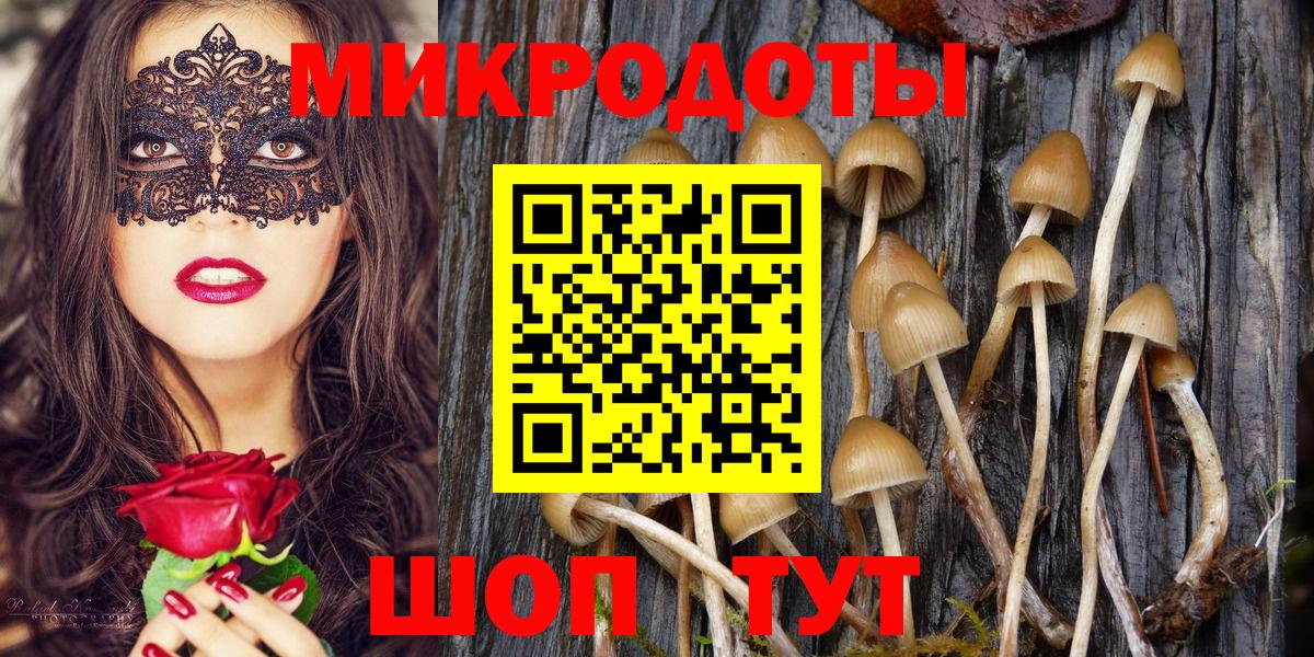 Галлюциногенные грибы прущие грибы  Вход с VPN  Кушва  Галлюциногенные грибы мухоморы 