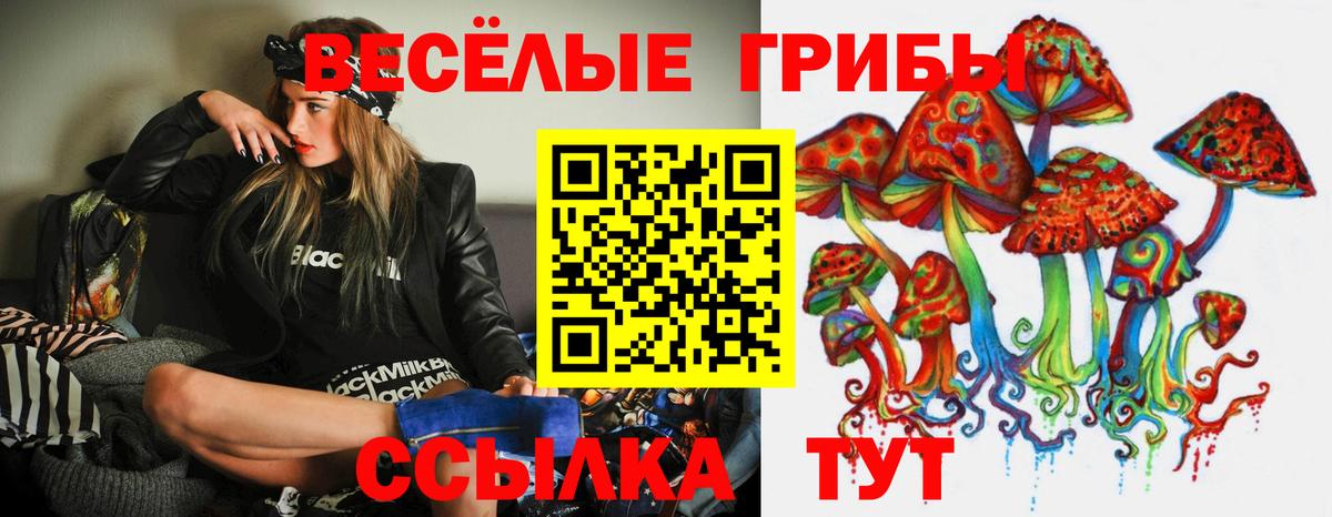 Псилоцибиновые грибы мицелий Кушва